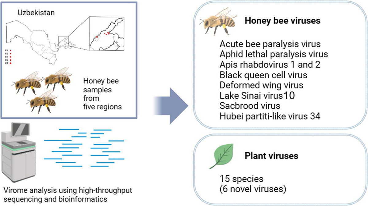 иллюстрация sciencedirect.com