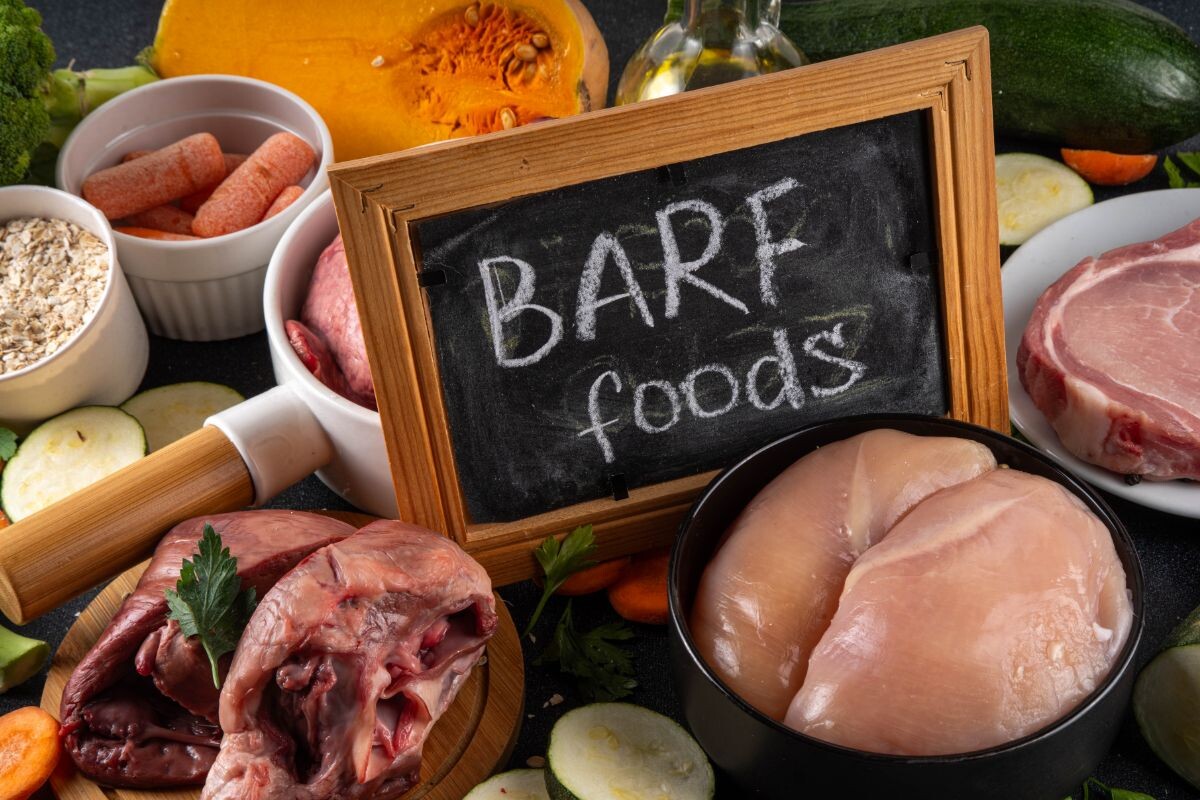 Система питания БАРФ