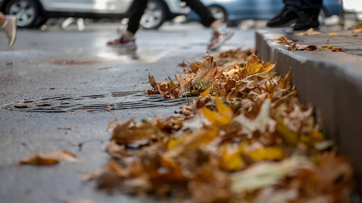 © Sputnik / Andranik Ghazaryan