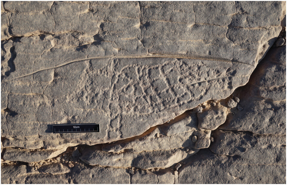   Linda Evans et al. / The Journal of Egyptian Archaeology, 2024