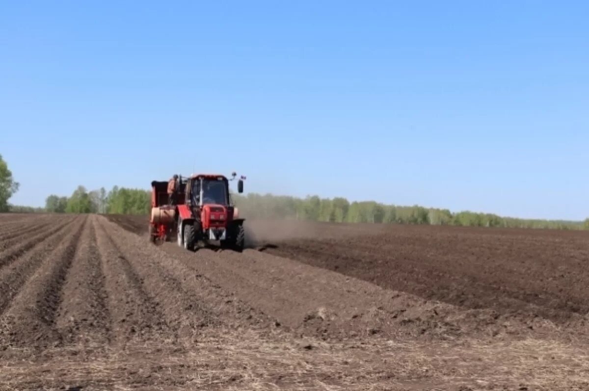    Продовольственную безопасность обсудят на агрофоруме в Новосибирске