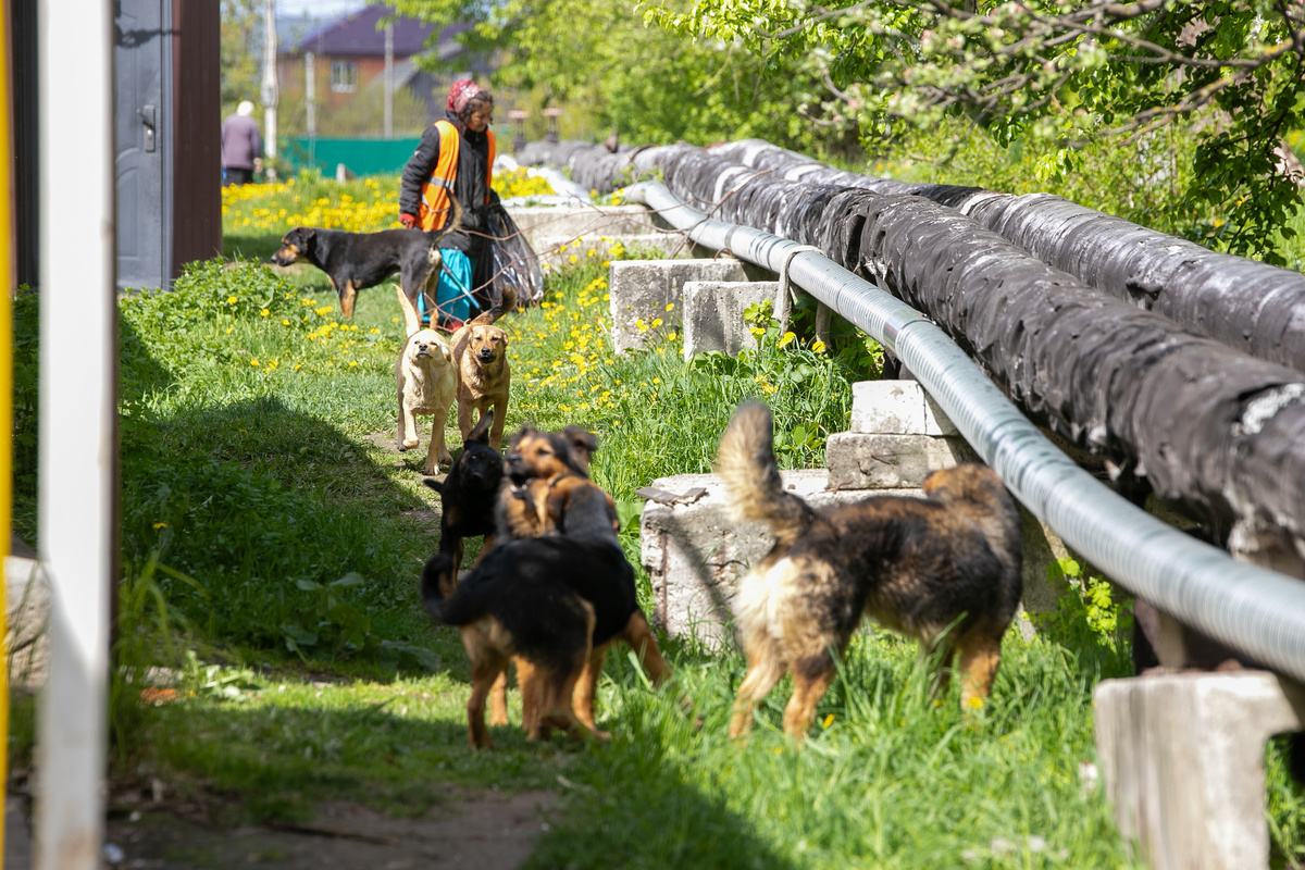 Фото: Тульская служба новостей