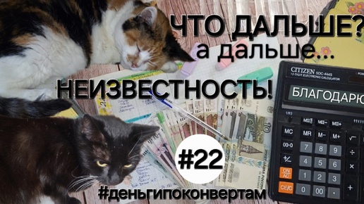 Система денежных конвертов✉️/Распределение с🐾бандой хвостатых🐾/ОДНА В ДЕРЕВНЕ👱🏼‍♀️