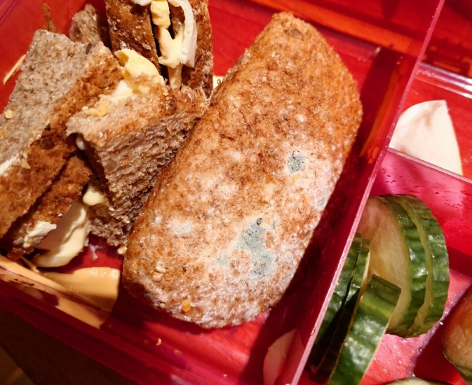 TV 2 NYHETER. Foto privat.