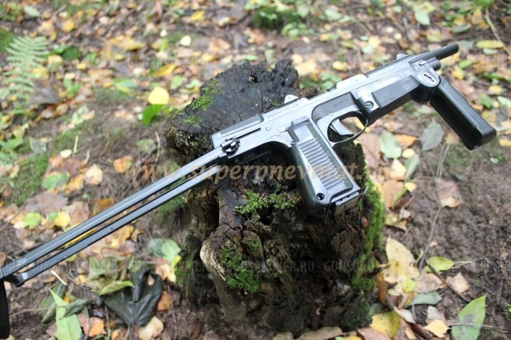 Лес, осень, PM 63