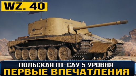 Wz.40 - польская ПТ-САУ 5 уровня из раннего доступа мира танков НЕ ДЛЯ РАНГОВЫХ БОЁВ