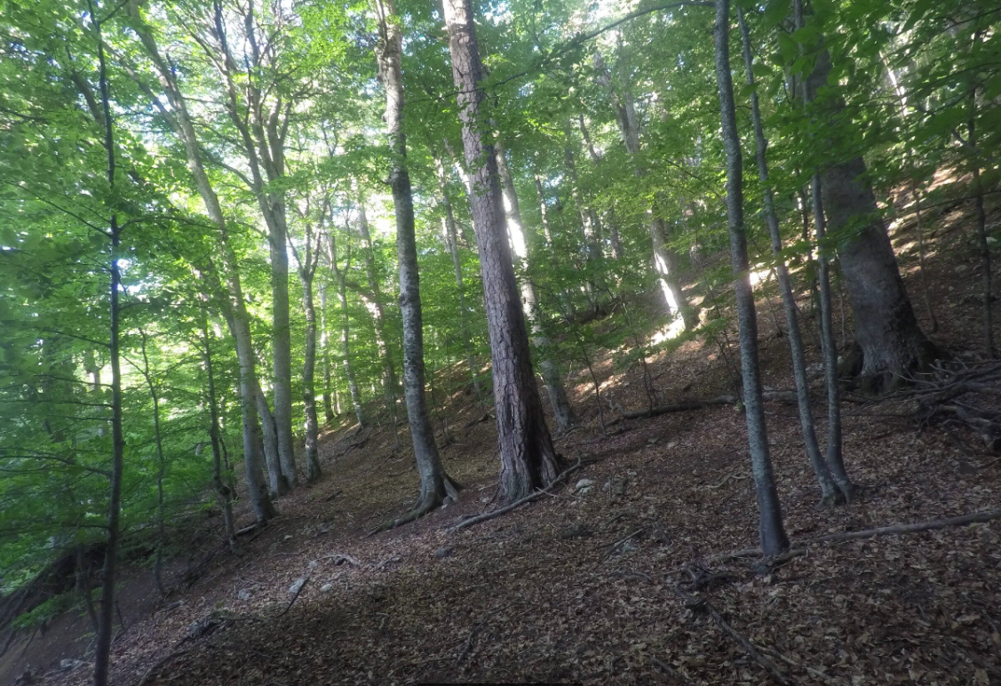 Река Альма. В этих живописных местах и притаилась наша загадочная избушка.