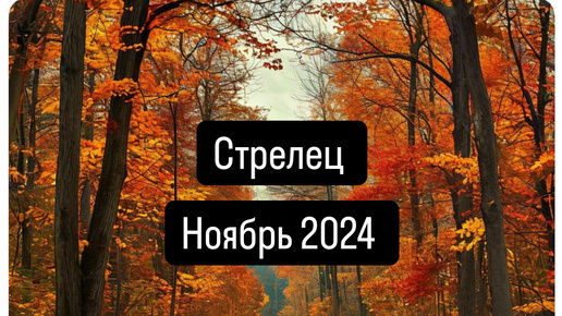 СТРЕЛЕЦ. Прогноз на Ноябрь 2024