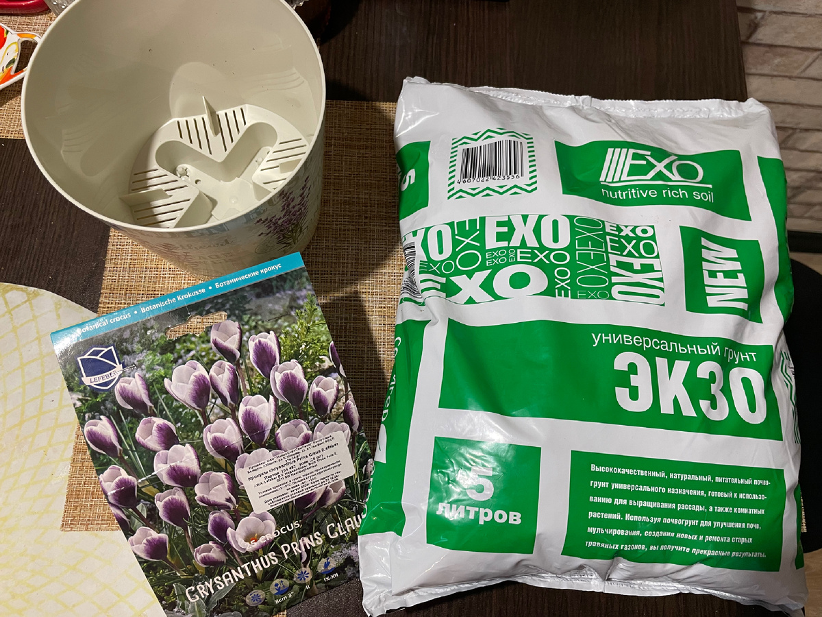 Приготовила питательный грунт, песок, кашпо, луковицы крокусов