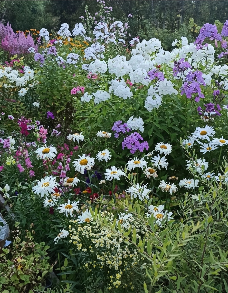 У меня на даче летом.