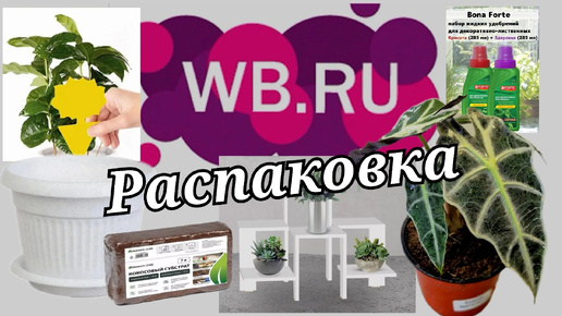 № 53 РАСПАКОВКА Wildberries. Интересная цветочная.