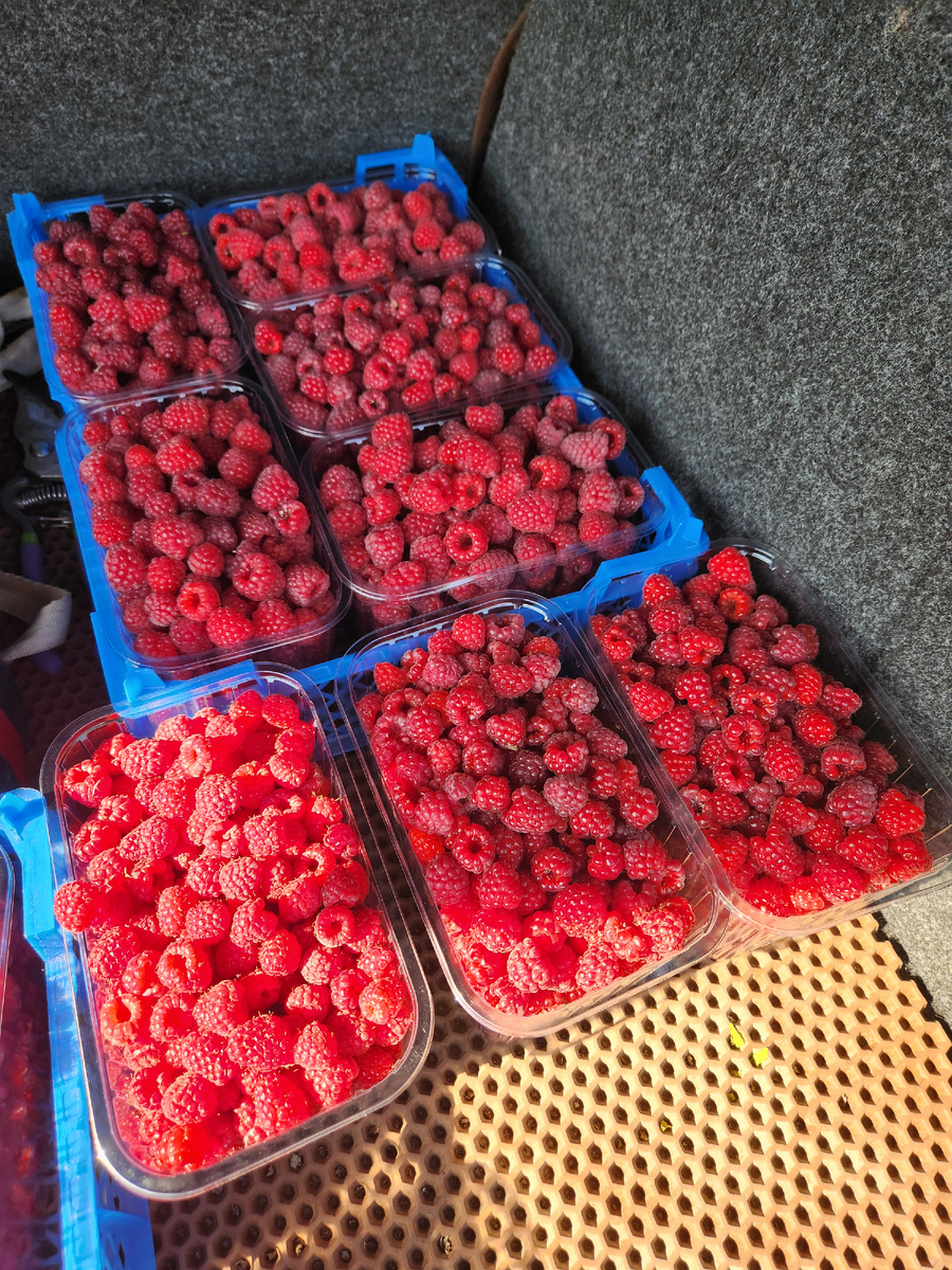 Урожай Химбо