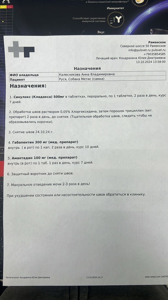 Назначение Руси