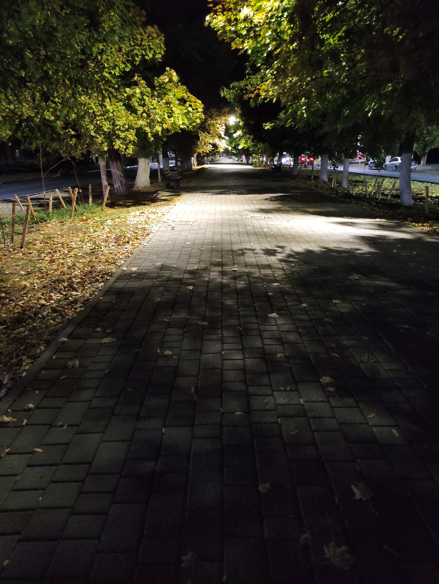 Тёмные аллеи