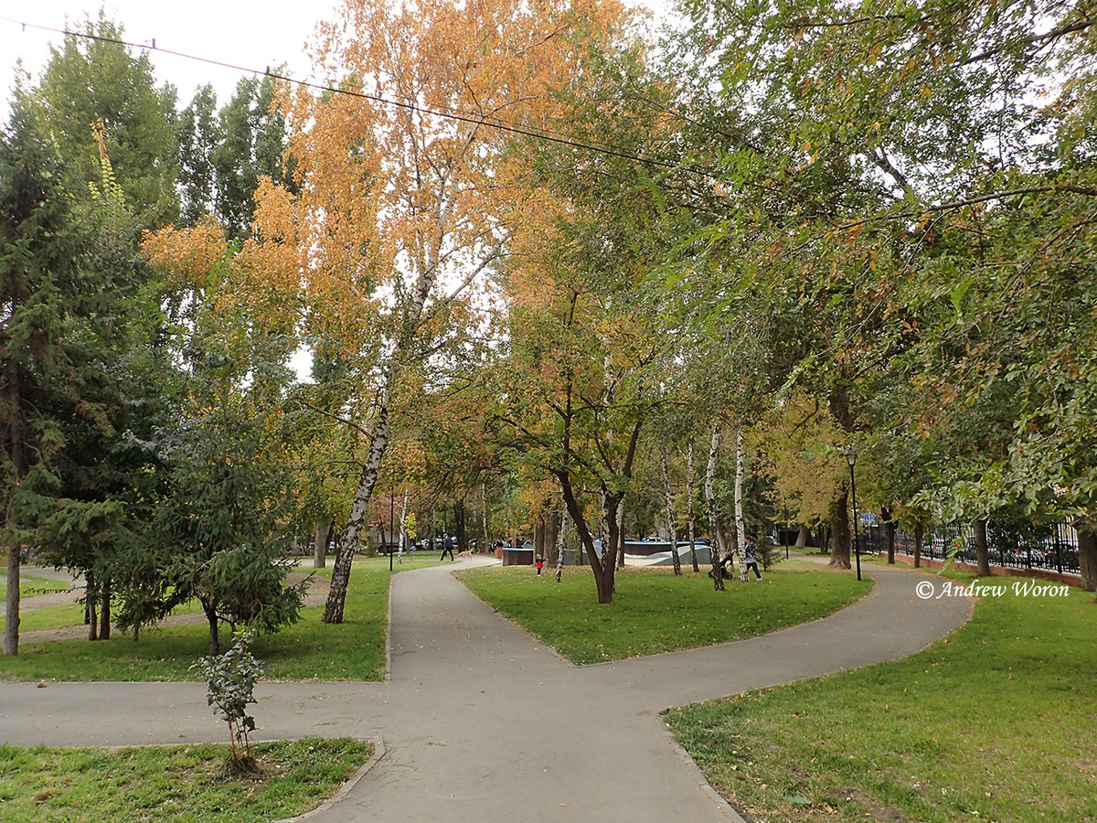 Осенние аллеи в сквере О. Янковского
