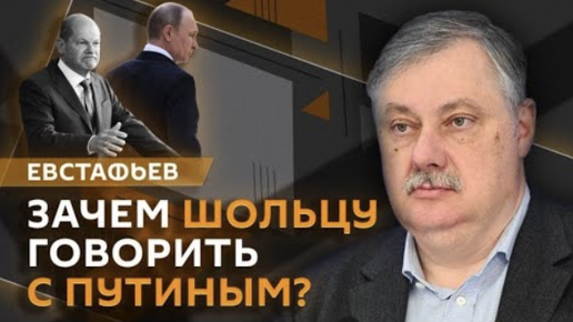 Зачем Шольцу говорить с Путиным ? | Дмитрий Евстафьев