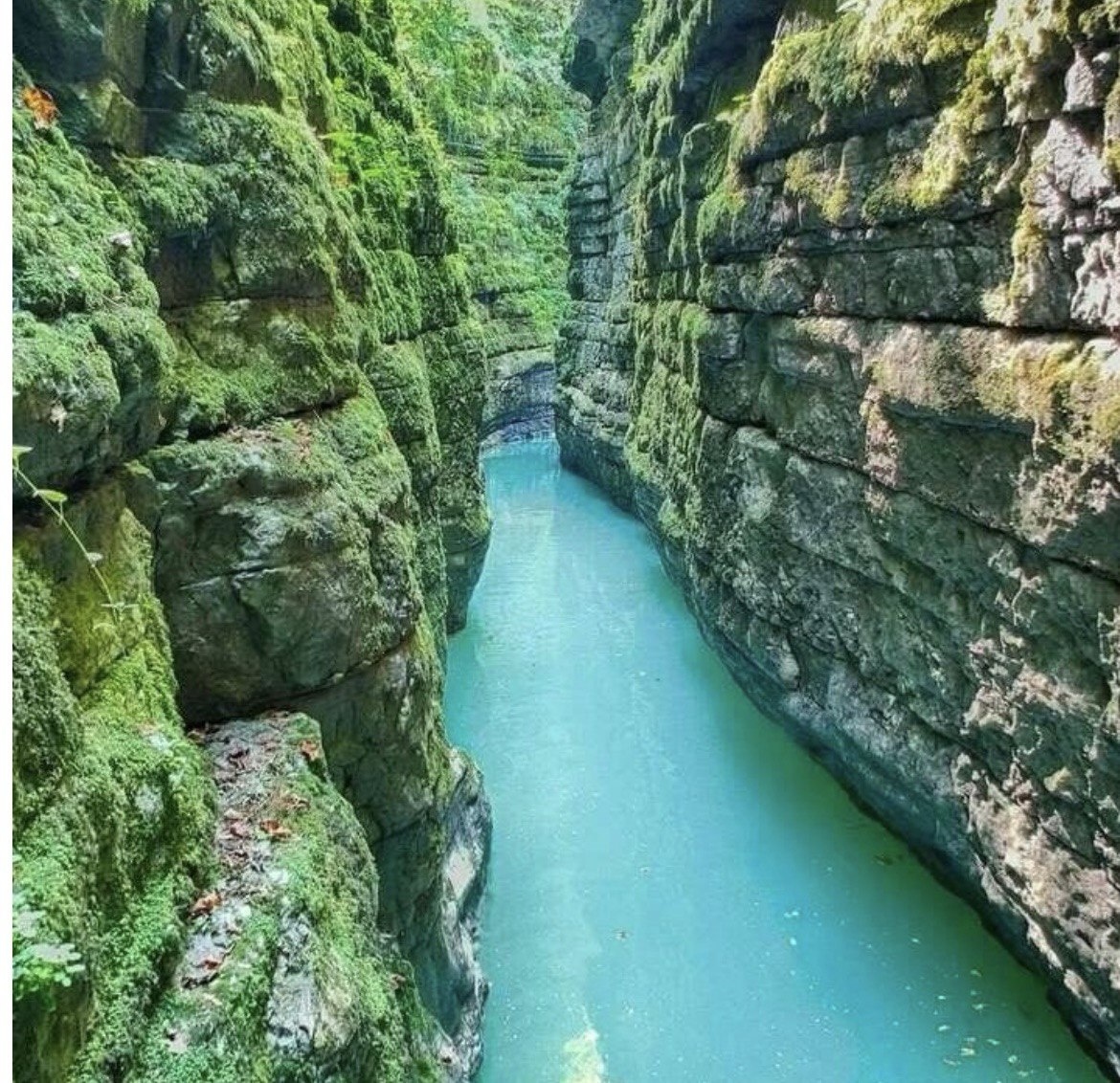 Фото из интернета