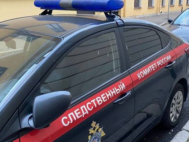 Фото: Следственный комитет РФ