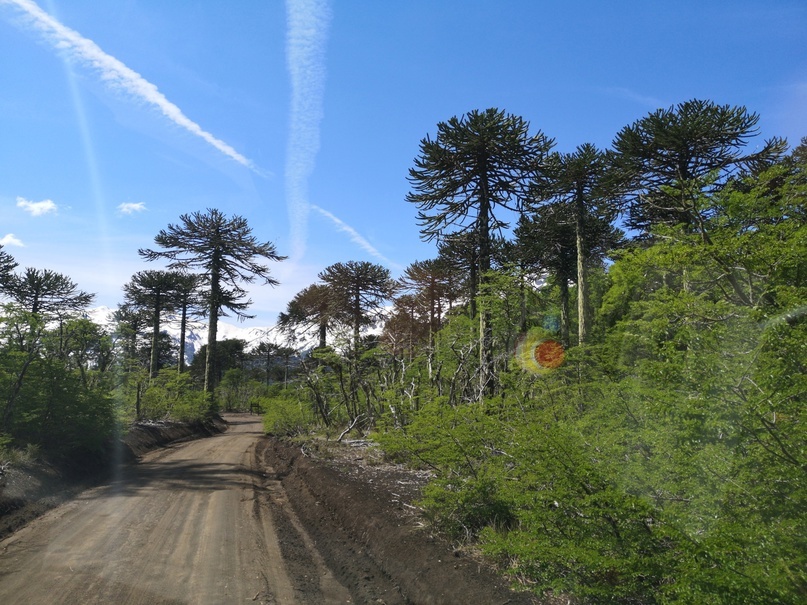 Провинция Каутин,область Араукания, Чили