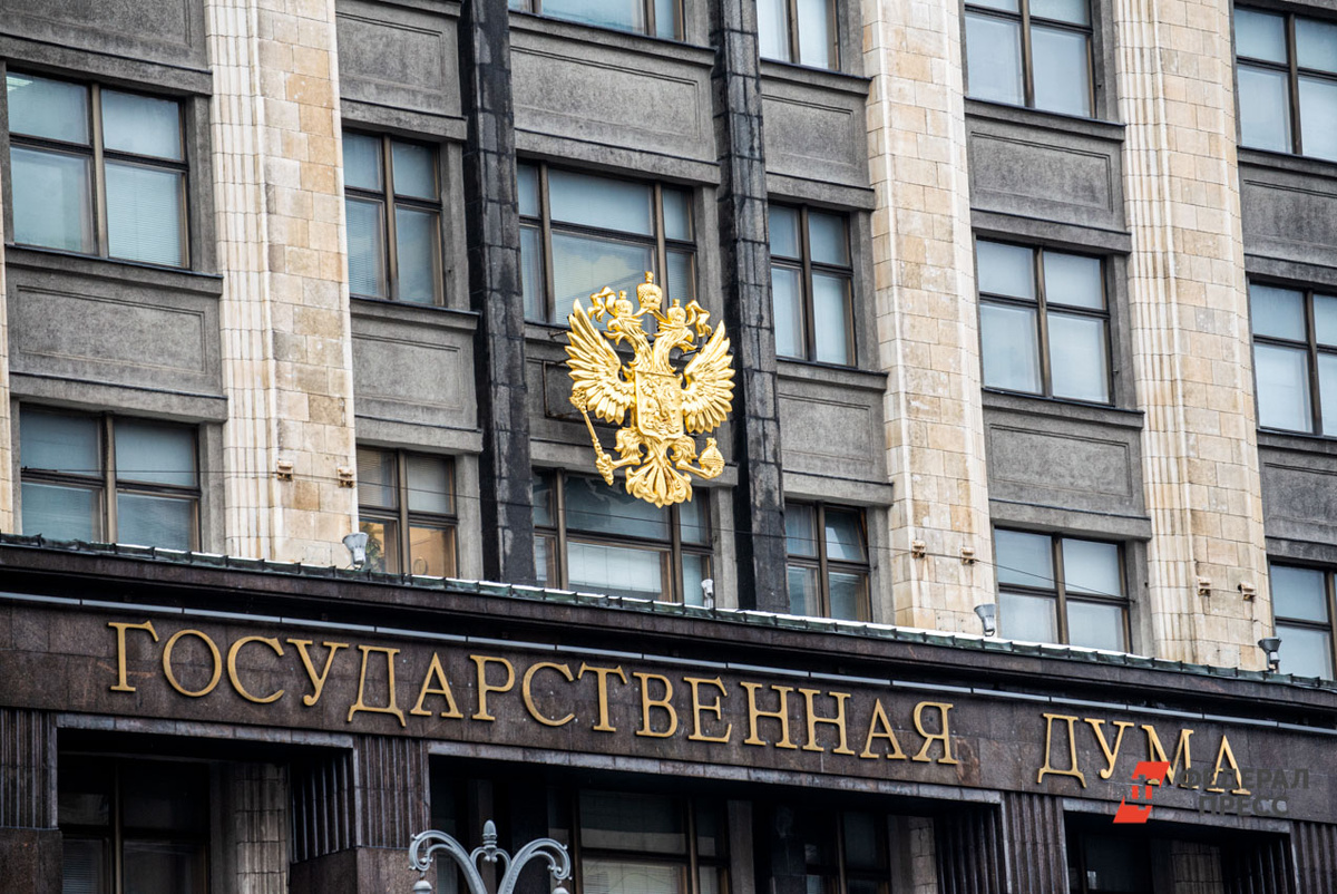Депутатов призвали согласовывать инициативы.  Фото: Фото: ФедералПресс / Артем Тутов