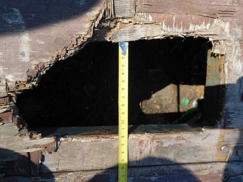 Фото: СУ СК России по Челябинской области