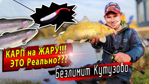 Безлимит Кутузово | Jara baits Boxter ловит все | Начало осеннего сезона ловли форели