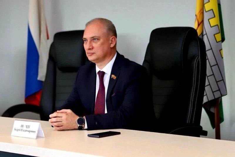    Гордума Челябинска. Андрей Шмидт будет работать в составе двух комитетов
