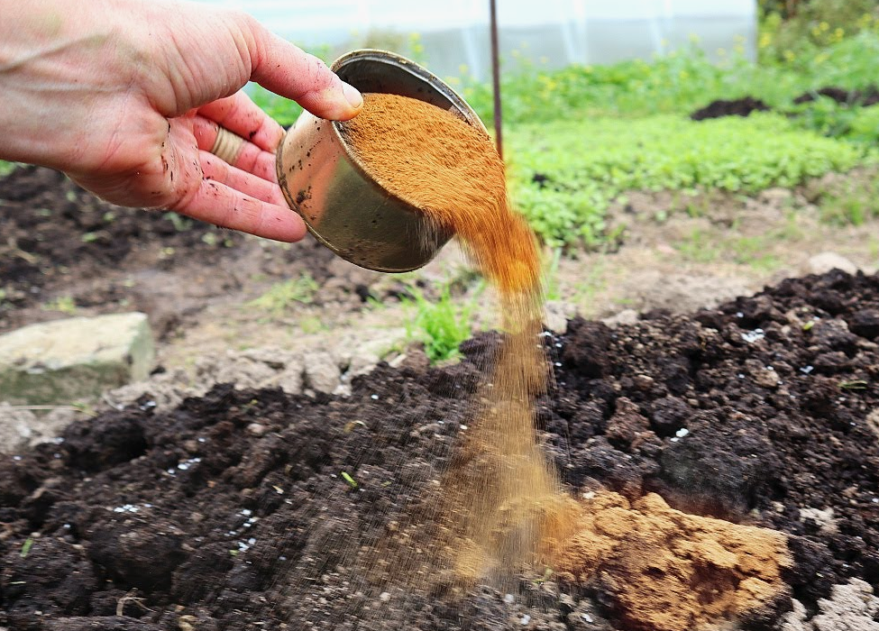 Внесение подкормки