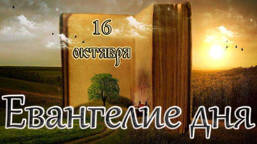 Апостол, Евангелие и Святые дня. Седмица 17-я по Пятидесятнице. (16.10.24)