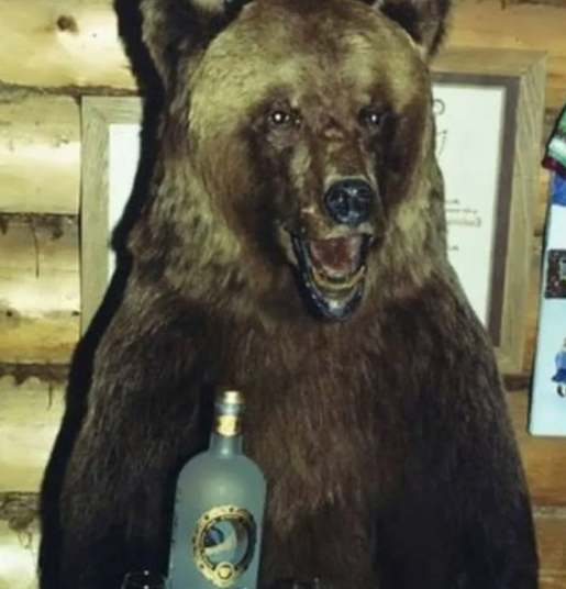 Я, когда мне пришла мотивация начать худеть. Также моя бутылка воды в холодильнике: