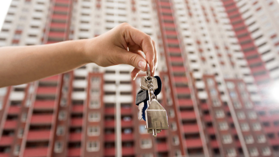    Цены на аренду жилья в мегаполисах России начали снижаться после резкого роста Алина Городниченко