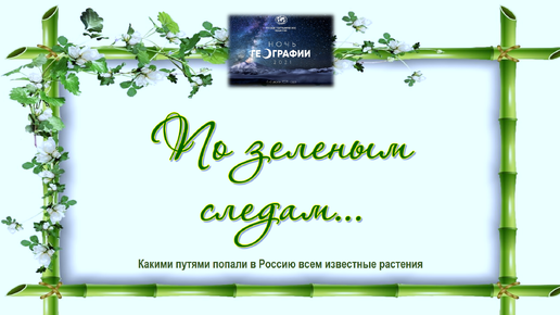 По зеленым следам: какими путями попали в Россию всем известные растения