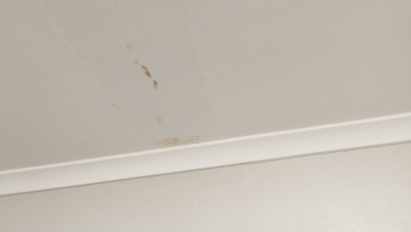      Фото: от читательницы ИА «Победа26»