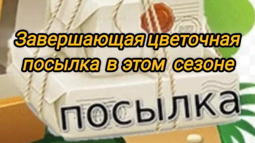 Завершающая посылка в этом сезоне. Хомяк уходит в спячку😁