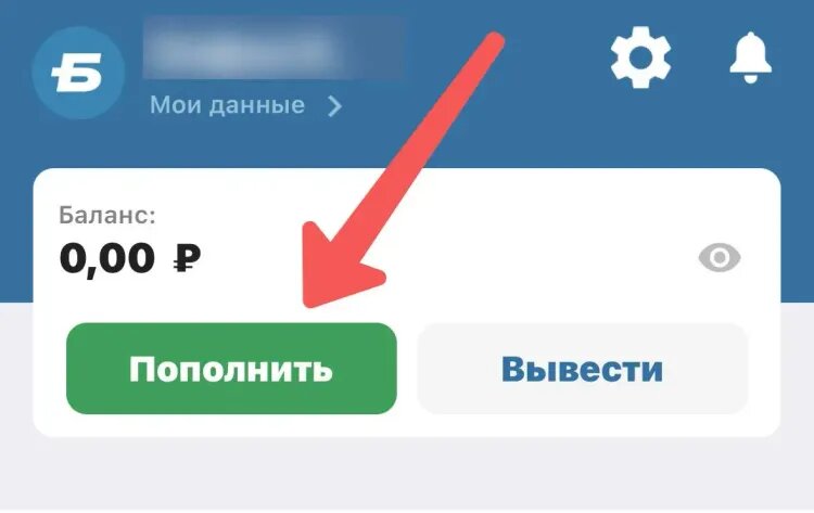    Кнопка «Пополнить»