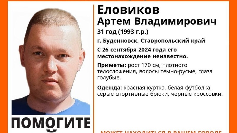      Фото: ПСО «ЛизаАлерт»