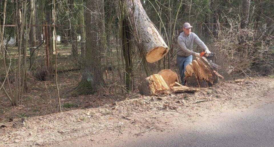    Комитет лесного хозяйства Московской области