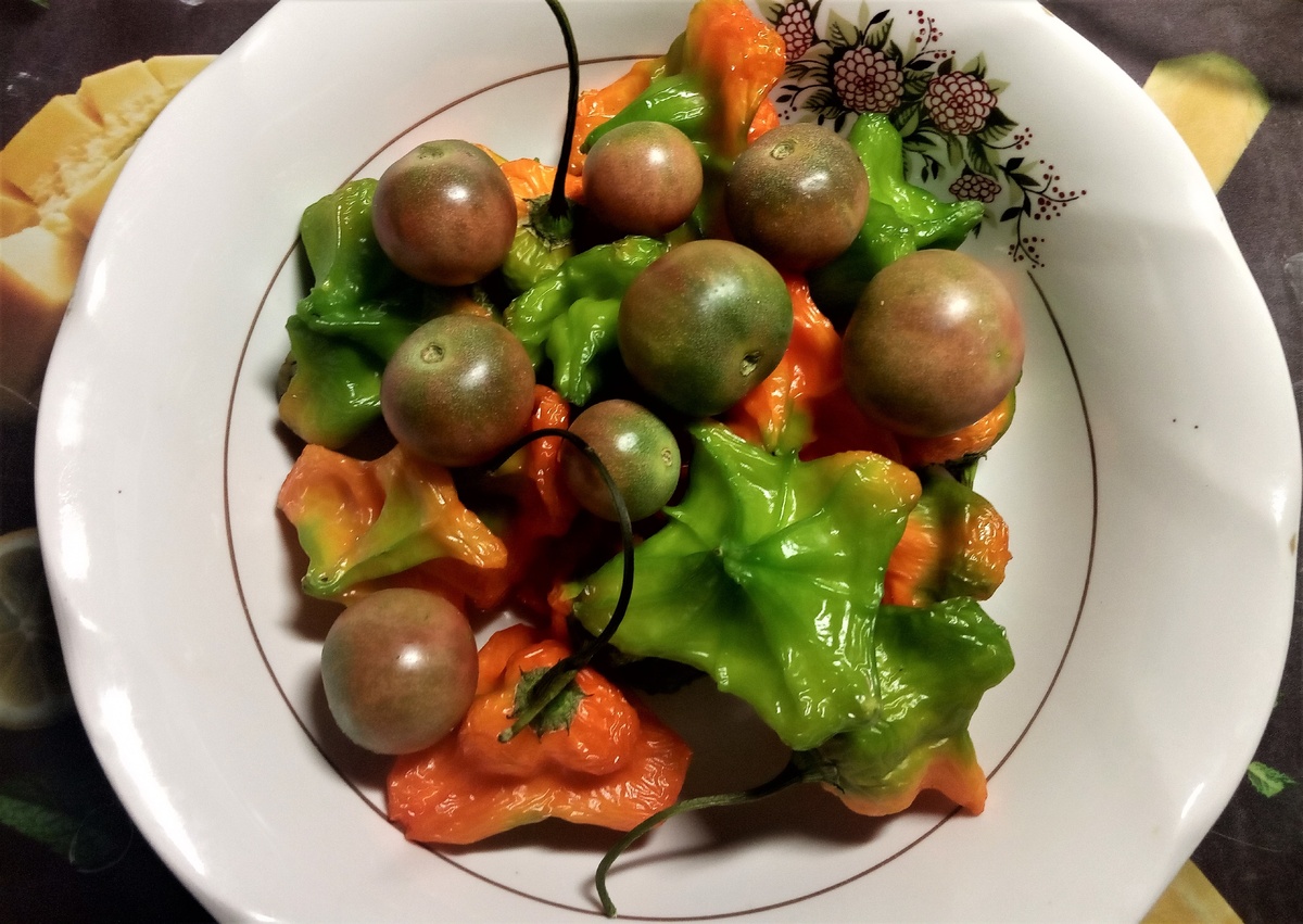    Поспевают неравномерно. Немного вянут. В свежем виде тоже вкусно, но столько не съесть))) поэтому делаем зимнюю вкусняшку