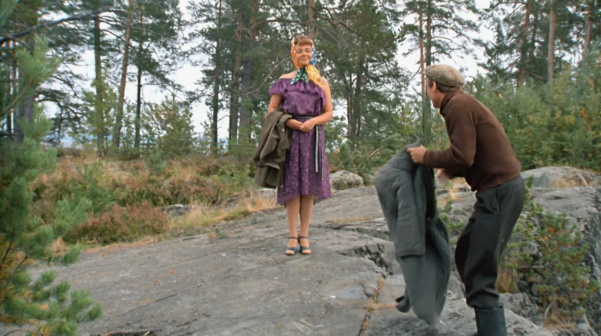 Кадр из фильма "Любовь и голуби" (1984)