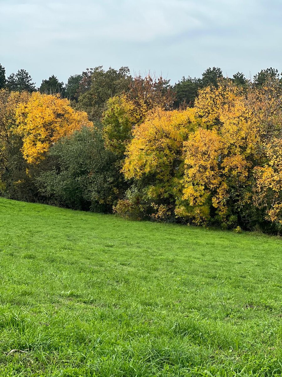 Красота осени