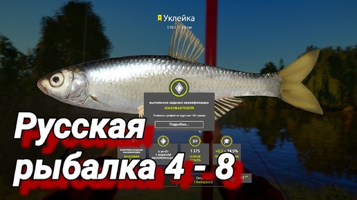 Russian Fishing 4 # 8 ( оз. Комариное - Первый трофейный хвост! )