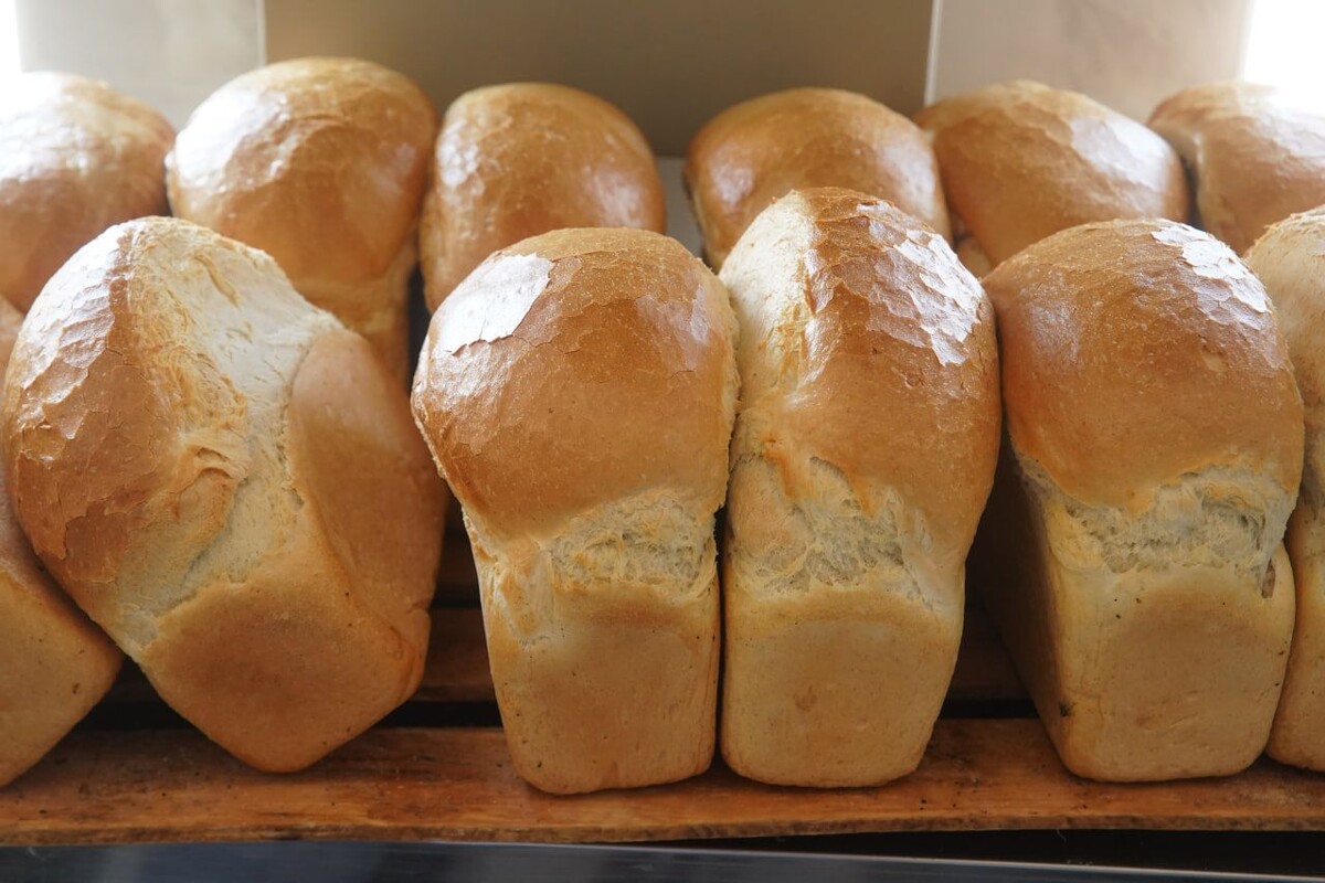     / Источник: © ИЗВЕСТИЯ/Эдуард Корниенко