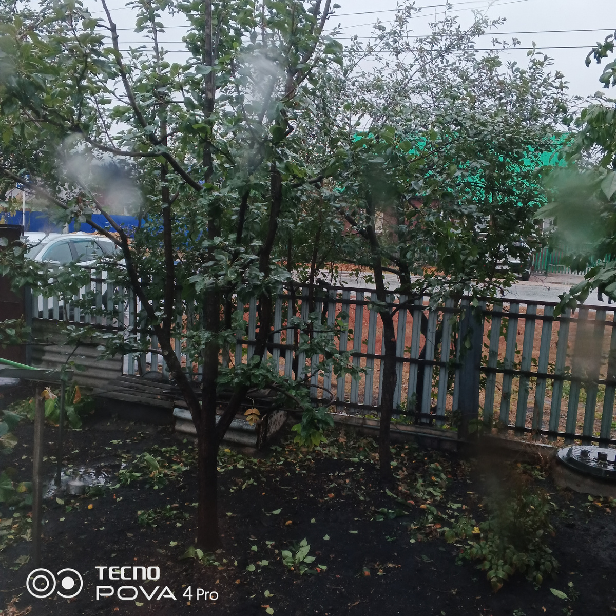 Пасмурно и сыро