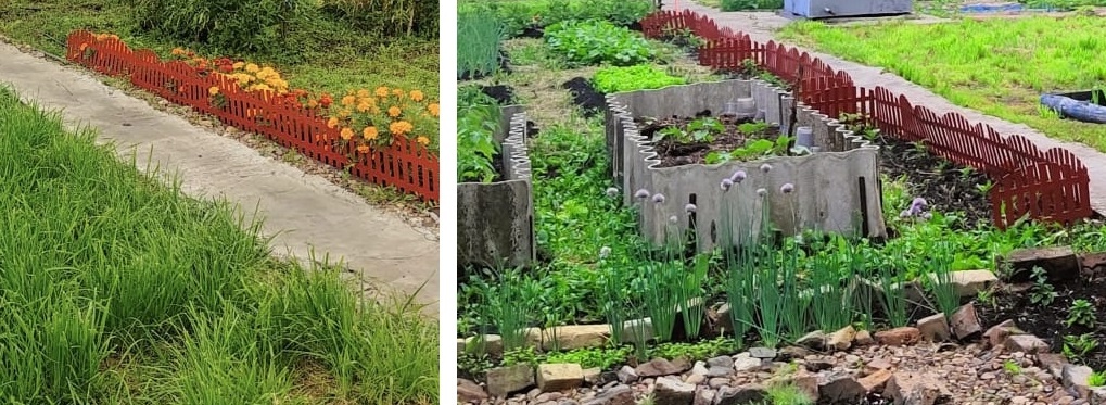 Ностальгические фотографии давно проданного огорода