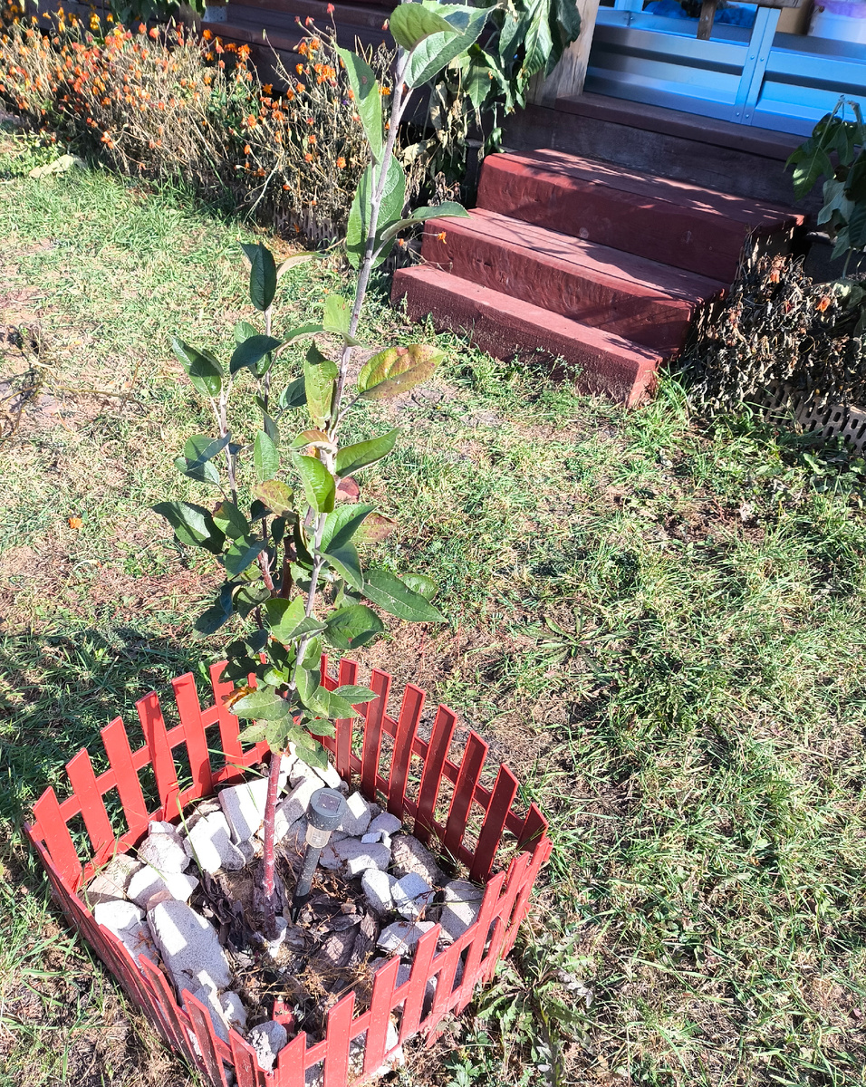 Сейчас это выглядит чуть симпатичнее 