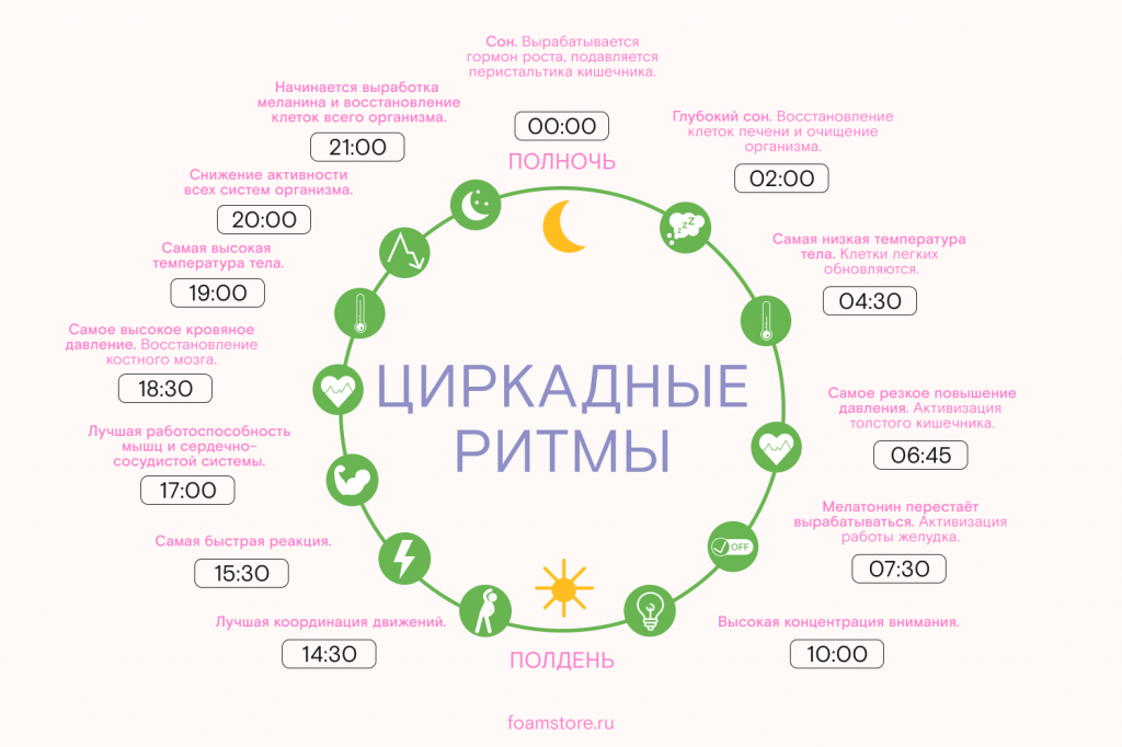 источник изображения  https://foamstore.ru/info/kak-luchshe-vysypatsya-i-prichem-tut-tsirkadnye-ritmy-melatonin-i-fazy-sna-/