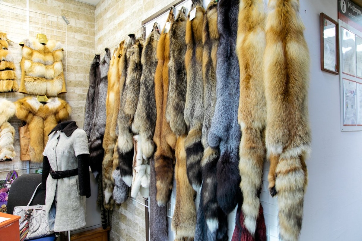    Рост цен на натуральный мех заставит северян перейти на экошубы