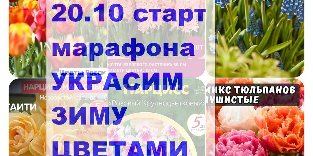 марафон - РАСКРАСИМ ЗИМУ ЦВЕТАМИ