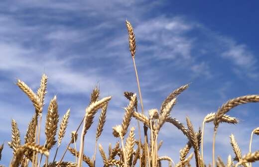 Фото: ИЗВЕСТИЯ/Эдуард Корниенко