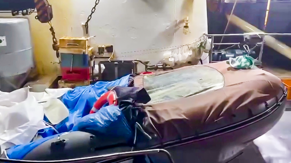     Фото: Кадр из видео   
 Текст: Елизавета Шишкова